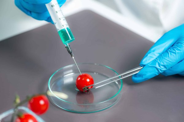 What's the Best Method for Swapping the Engine in a Classic Mini with a Modern Honda VTEC?